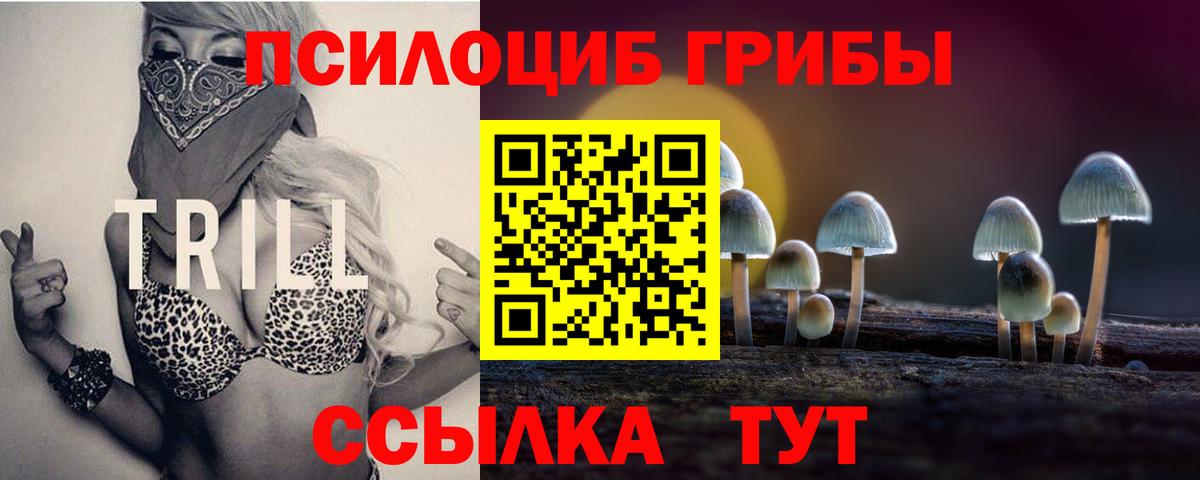 Псилоцибиновые грибы мухоморы  Вход с VPN  Феодосия 