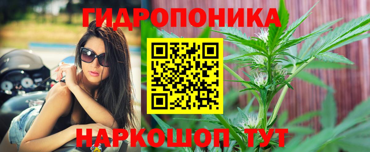 МАРИХУАНА Bruce Banner Феодосия